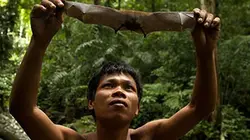 Visuel de Les miracles de la mousson