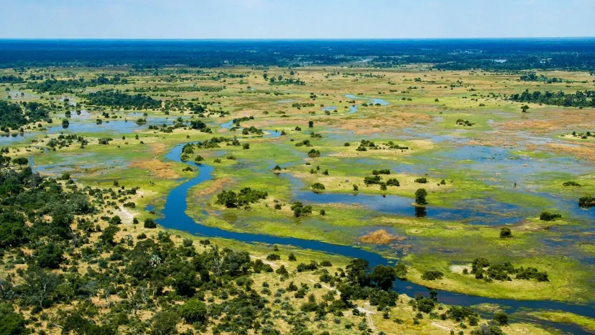 Les miracles du delta de l'Okavango