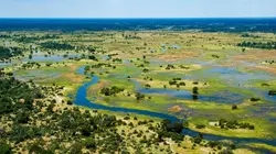 Les miracles du delta de l'Okavango