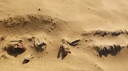 Visuel de Les momies de la route de la Soie