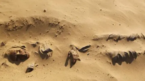 Les momies de la route de la Soie