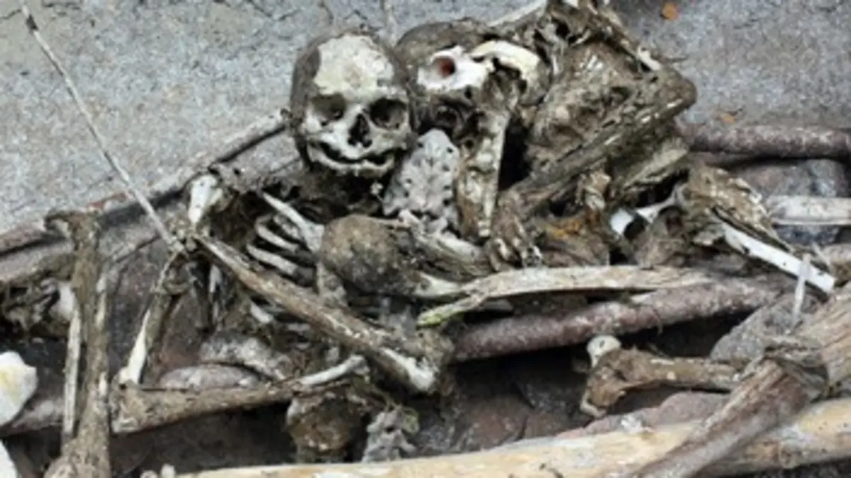 Les momies perdues de Papouasie