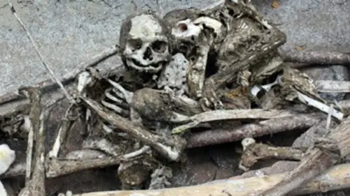 Les momies perdues de Papouasie