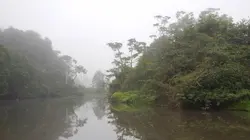 Les mondes inondés : Vivre entre deux eaux S01E01 Loango - Gabon