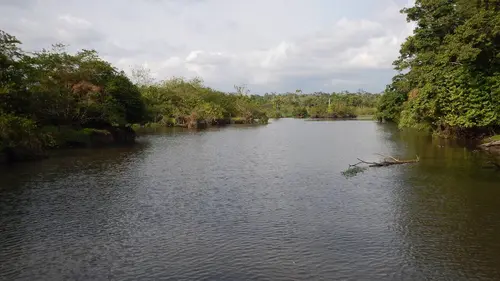 Les mondes inondés : Vivre entre deux eaux S01E01 Loango - Gabon
