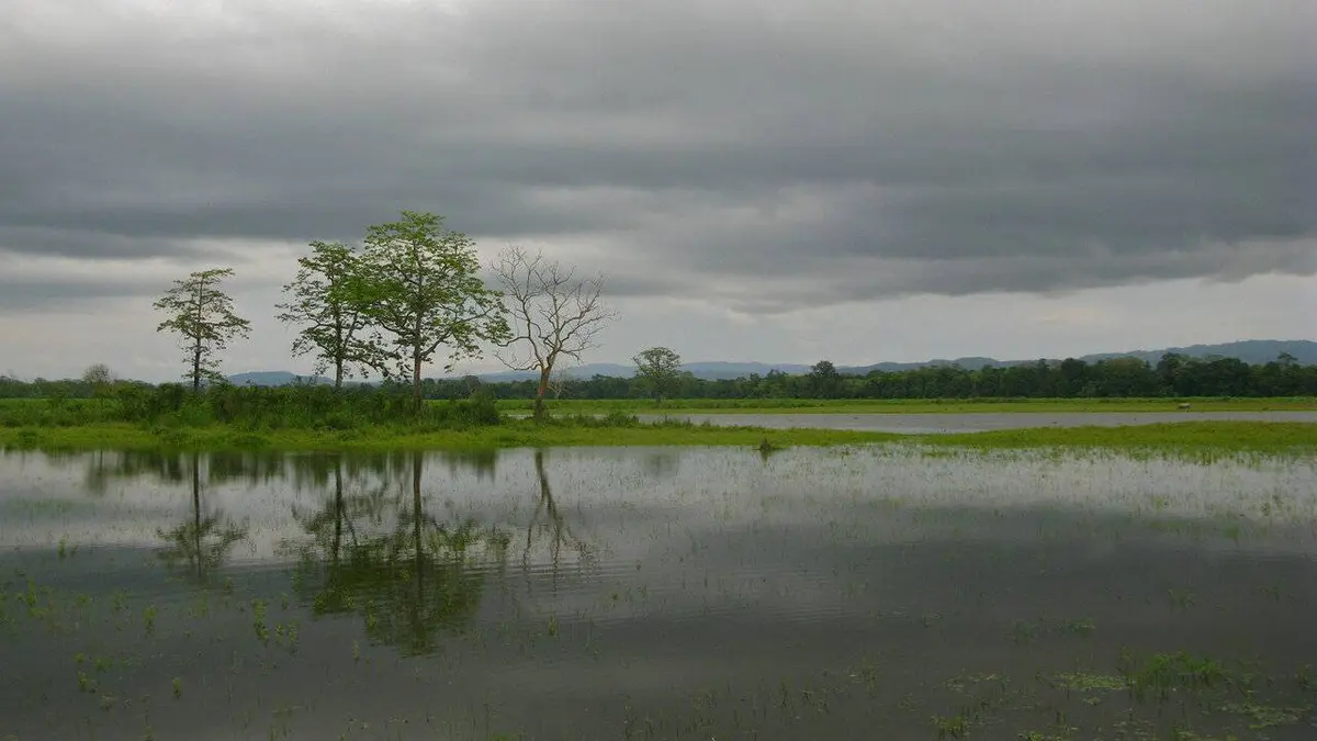 Les mondes inondés : Vivre entre deux eaux S01E04 Kaziranga, les larmes de l'Himalaya