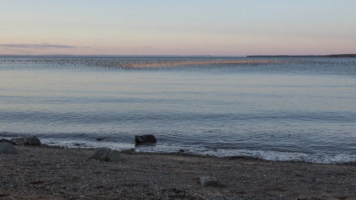 Les mondes inondés : Vivre entre deux eaux S01E05 Baie de Fundy, les plus hautes marées du monde