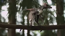 Les mondes perdus Le mystère des dragons à plumes