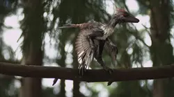 Les mondes perdus Le mystère des dragons à plumes