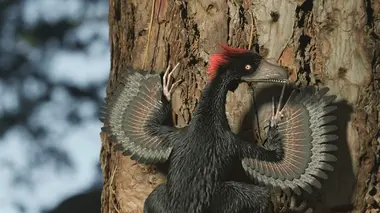 Les mondes perdus Le mystère des dragons à plumes