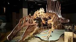 Visuel de Les monstres du Jurassique
