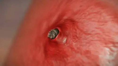 Les monstres en moi S03E01 Ma fille perd la tête