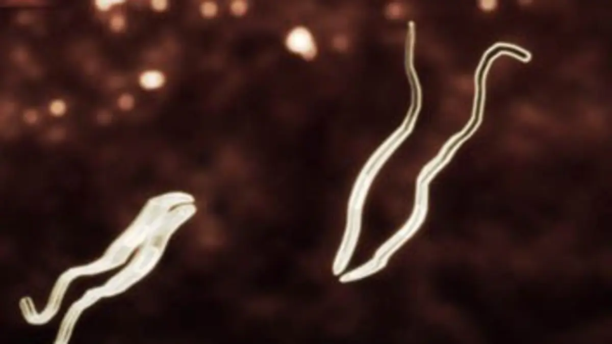 Les monstres en moi E02 Irruption