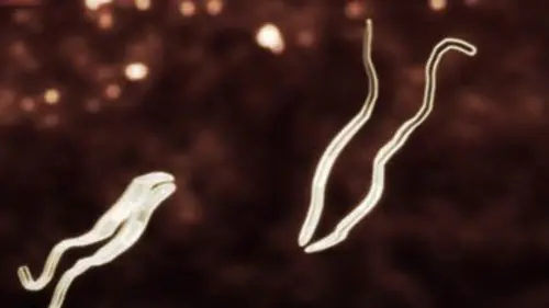 Les monstres en moi S01E06 Pirates