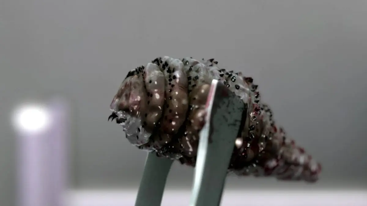 Les monstres en moi S07E07 Vacances d'enfer