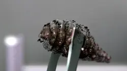 Les monstres en moi S07E07 Vacances d'enfer