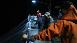 Les montagnes sacrées du Laoshan