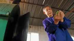 Les montagnes sacrées du Laoshan  La montagne généreuse