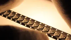 Les mots qu'elles eurent un jour