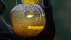 Les mystères d'Halloween