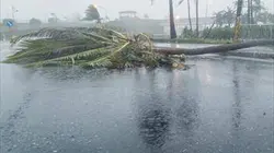 Les mystères de l'univers S06E00 Les cyclones