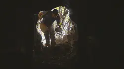 Les mystères de la Bible E02 Les miracles de Jésus