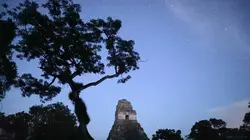 Les mystères de la dynastie des Serpents Mayas