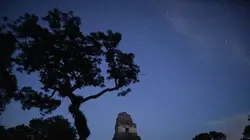 Les mystères de la dynastie des Serpents Mayas