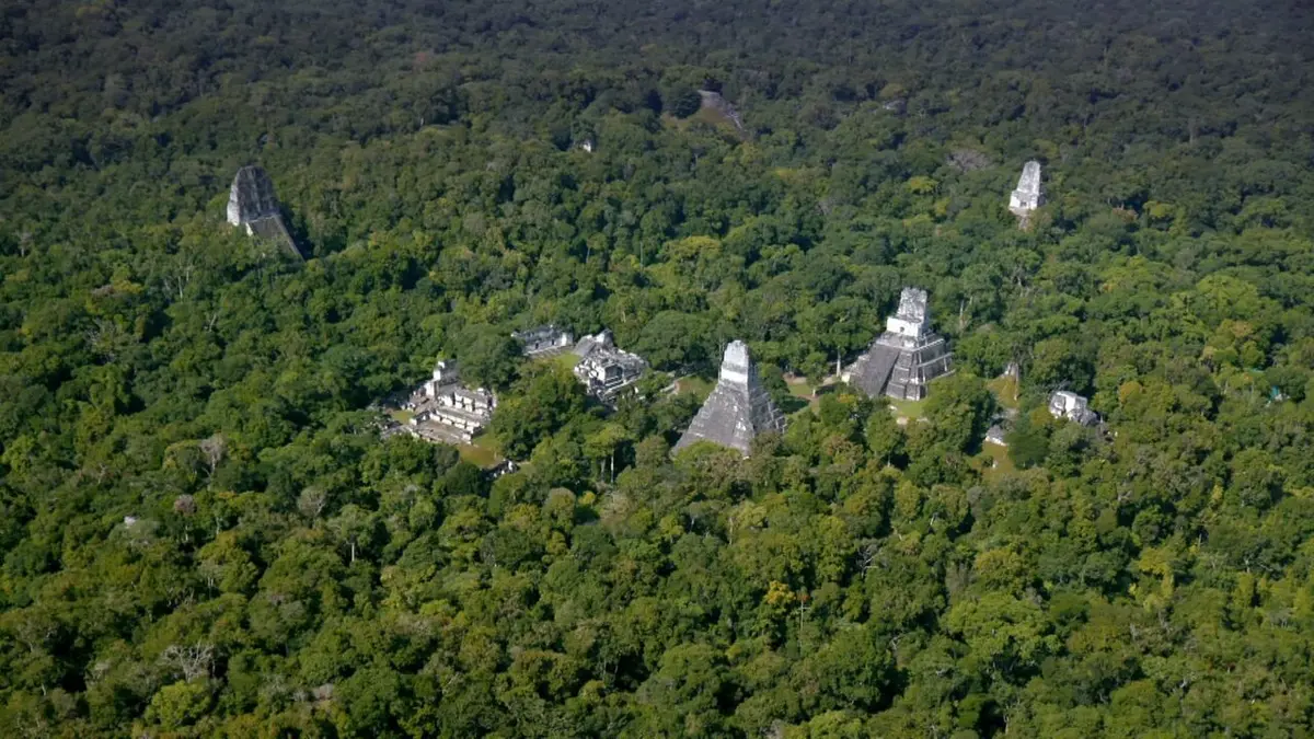 Les mystères de la dynastie des Serpents Mayas