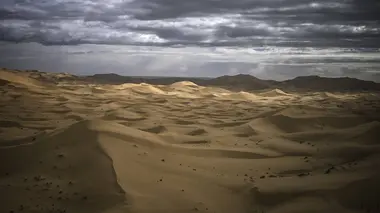 Les animaux de l'extrême