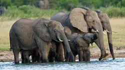 Sur TLC à 21h00 : Les mystères de la nature