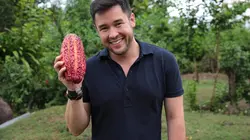 Les mystères du goût