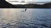 Les mystères du Loch Ness