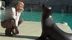 Visuel de Les mystères du zoo de Beauval