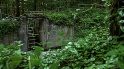 Visuel de Les mythes de la forêt de Teutobourg