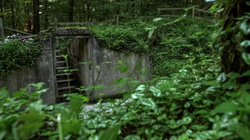 Les mythes de la forêt de Teutobourg