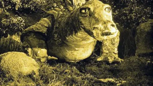 Les Nibelungen