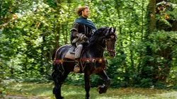 Les Nibelungen : l'envers du mythe