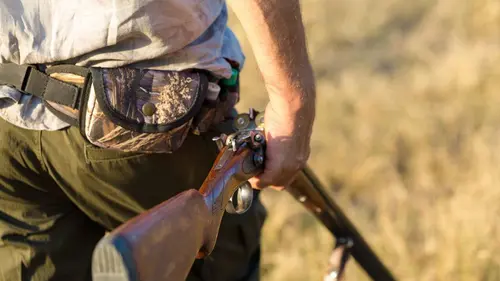 Les nouveaux chasseurs