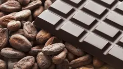 Les nouveaux défis des rois du chocolat