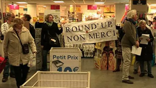 Les nouveaux désobéissants
