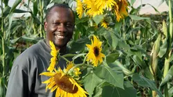 Les nouveaux environnementalistes