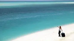 Visuel de Les nouveaux explorateurs