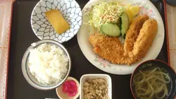 Les nouveaux explorateurs  E49 Fred Chesneau au Japon