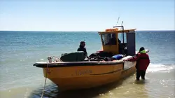 Les nouveaux explorateurs Jérôme Delafosse en Argentine