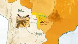 Les nouveaux explorateurs - Perrine Crosmary