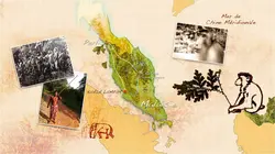 Les nouveaux explorateurs - Perrine Crosmary