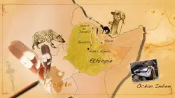 Les nouveaux explorateurs - Perrine Crosmary