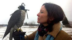 Les nouveaux explorateurs - Perrine Crosmary Québec