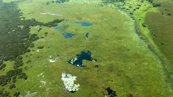 Les nouveaux mondes sauvages